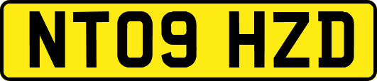 NT09HZD