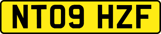 NT09HZF