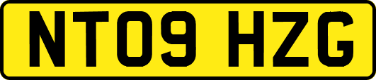 NT09HZG