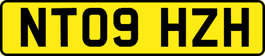 NT09HZH
