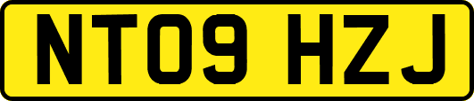 NT09HZJ