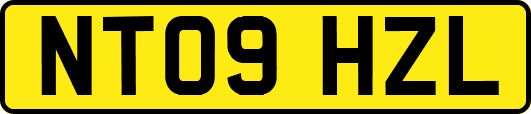 NT09HZL