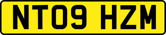 NT09HZM