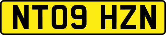 NT09HZN