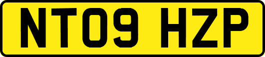 NT09HZP