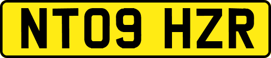 NT09HZR