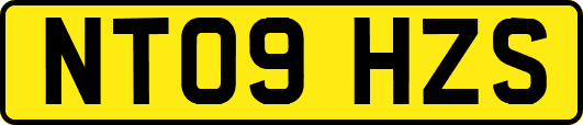 NT09HZS