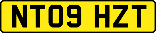 NT09HZT