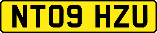 NT09HZU
