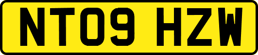 NT09HZW