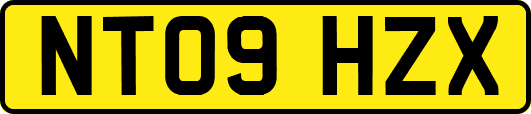 NT09HZX