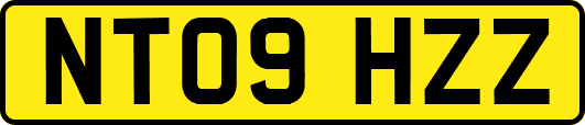 NT09HZZ