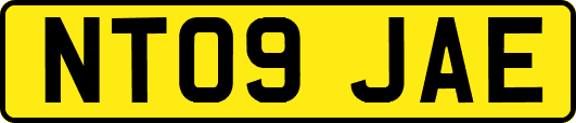 NT09JAE