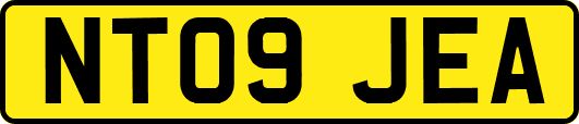 NT09JEA