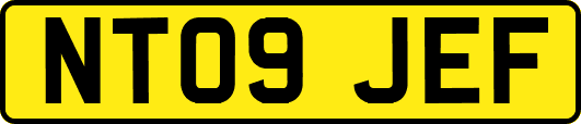 NT09JEF