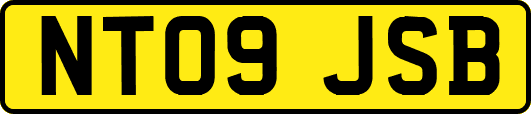 NT09JSB