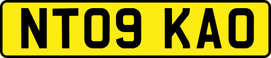 NT09KAO