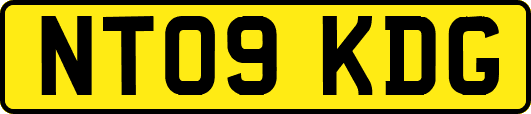 NT09KDG