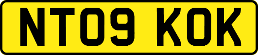 NT09KOK