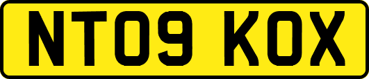 NT09KOX