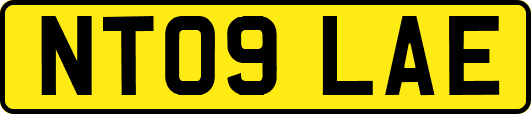NT09LAE