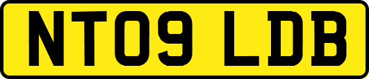 NT09LDB