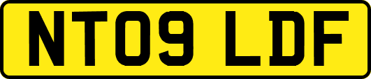 NT09LDF
