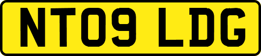 NT09LDG