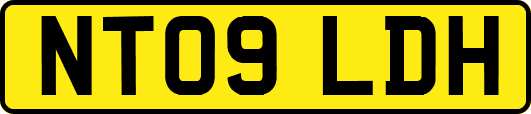 NT09LDH