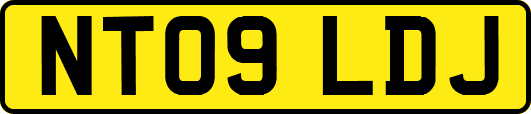 NT09LDJ