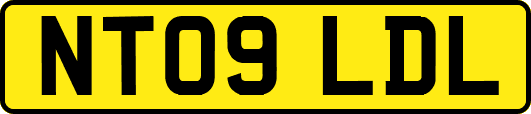 NT09LDL