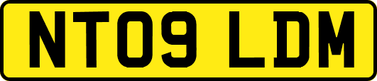 NT09LDM
