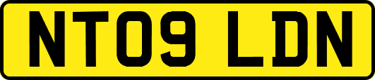 NT09LDN