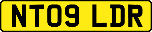 NT09LDR