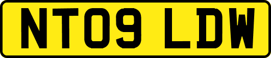 NT09LDW