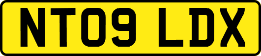 NT09LDX