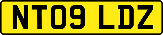 NT09LDZ