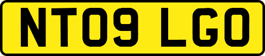 NT09LGO