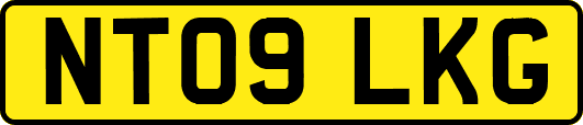 NT09LKG