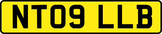 NT09LLB