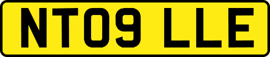 NT09LLE