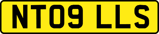 NT09LLS