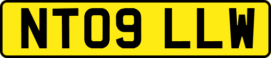NT09LLW