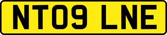 NT09LNE