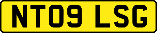 NT09LSG