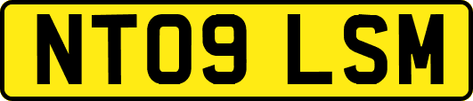 NT09LSM