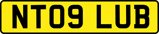 NT09LUB