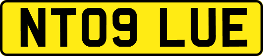 NT09LUE