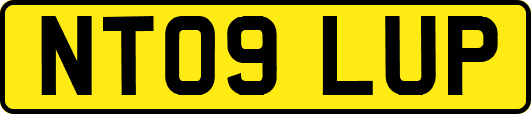 NT09LUP