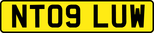 NT09LUW